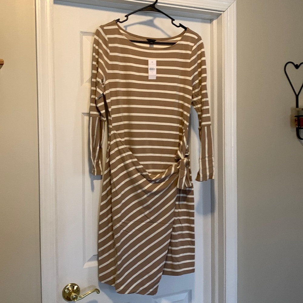 NWT Ann Taylor Dress